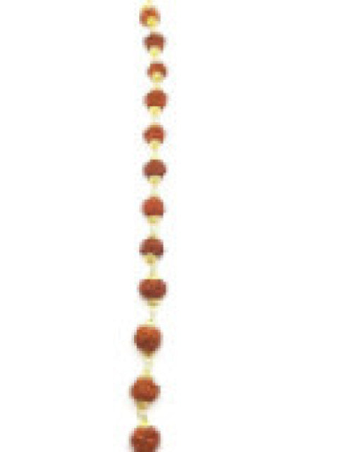 Original 5 Mukhi 5 Face Golden Cap Rudraksha Bracelet  (Pack of 1)