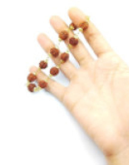 Original 5 Mukhi 5 Face Golden Cap Rudraksha Bracelet  (Pack of 1)