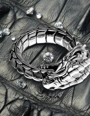 Punk Rings for Men Women Sleeping Dragon Ring